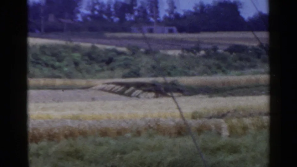 1953 Japan countryside frame showing crop rows, pale farmland, a distant low building, roadside edge, and trees.