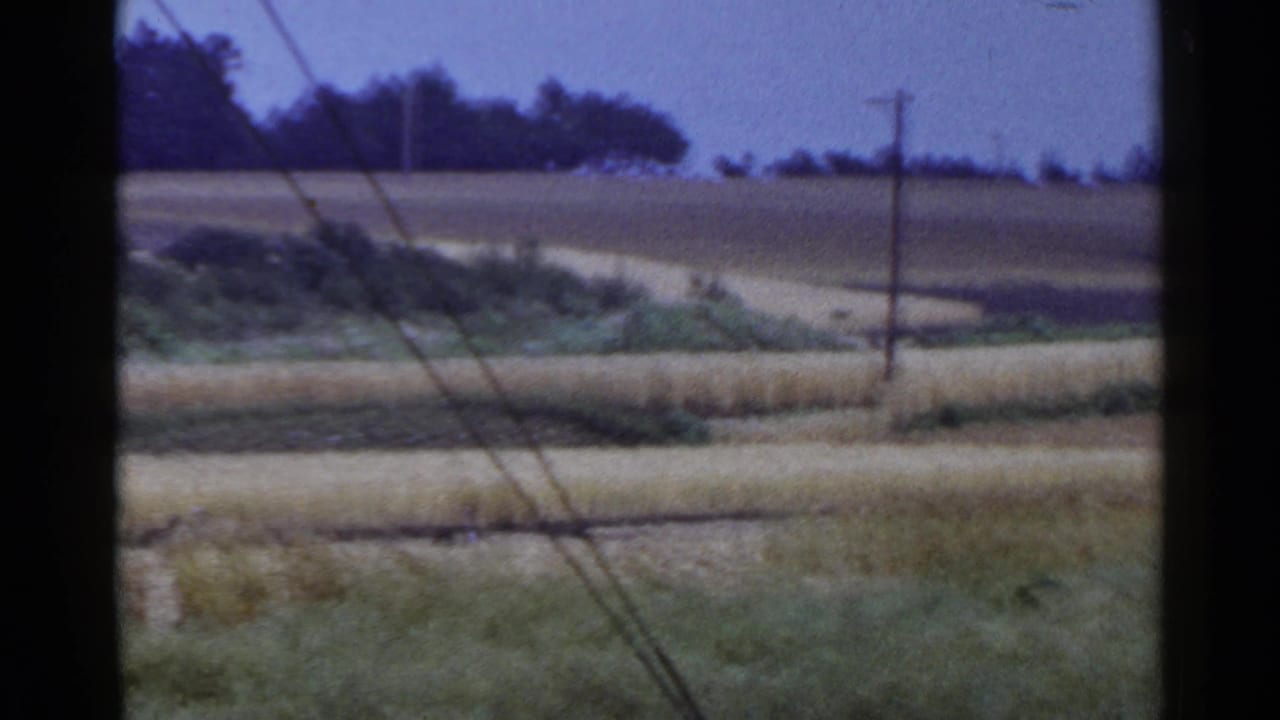 Rural fields with telephone poles, wires, grass, distant trees, and a purple-blue sky.