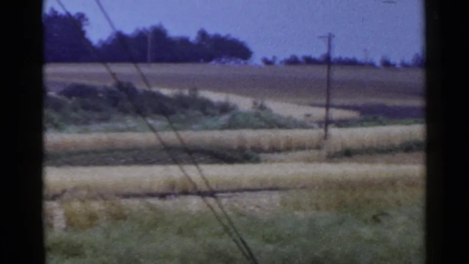 1953 Japan home-movie frame showing open rural fields, roadside grass, telephone poles, diagonal wires, and a distant tree line.