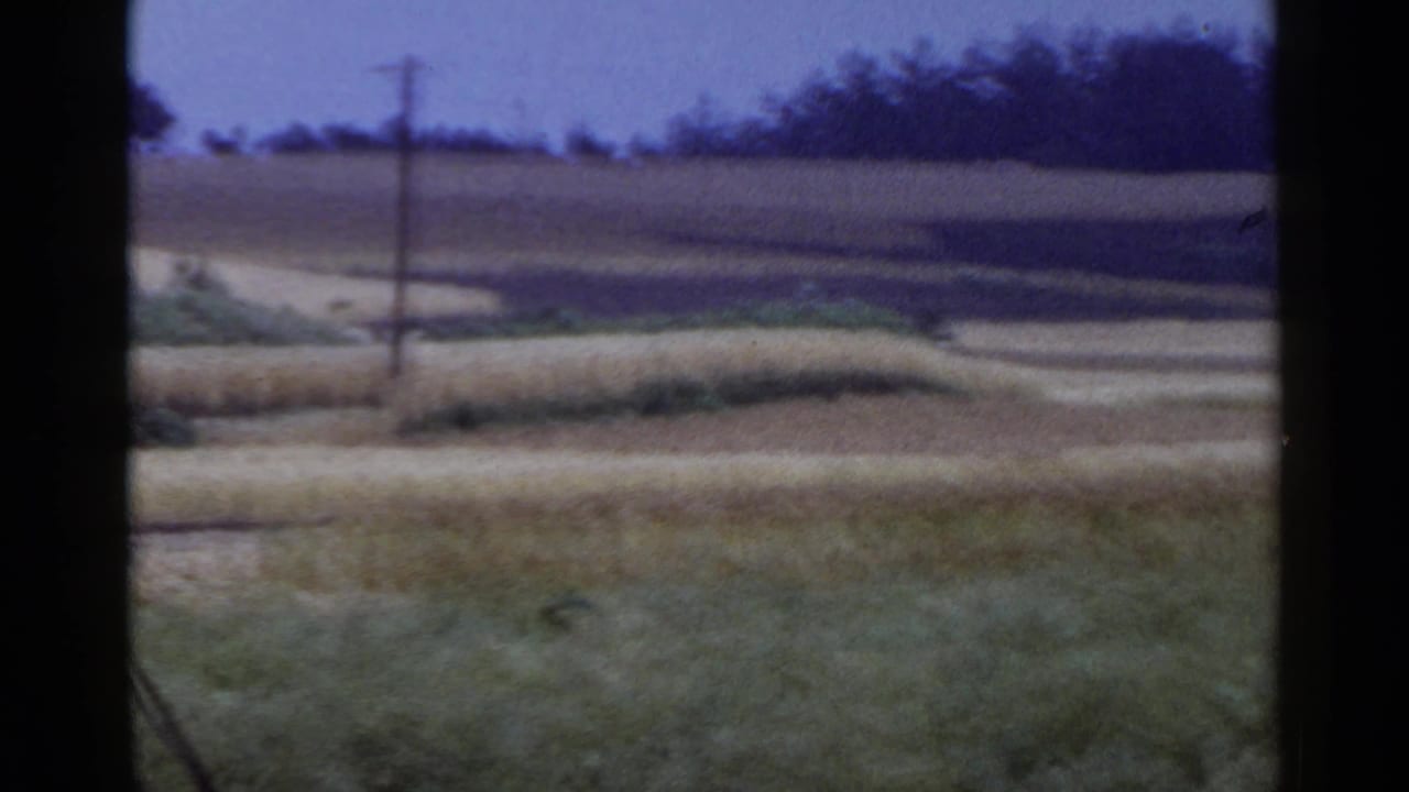Rolling fields and a single telephone pole with grass in the foreground and trees beyond.