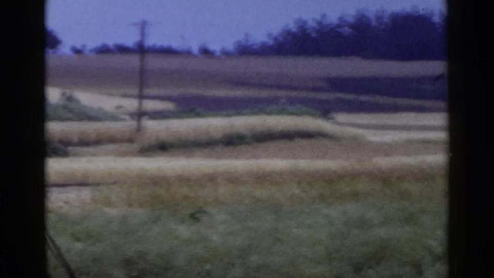 1953 Japan rural view with rolling fields, foreground grass, a telephone pole, pale ground, and trees along the horizon.