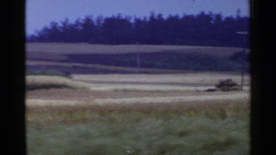 1953 Japan home-movie frame of layered fields, foreground grass, a dark tree line, utility pole, and a small indistinct pile near the road.