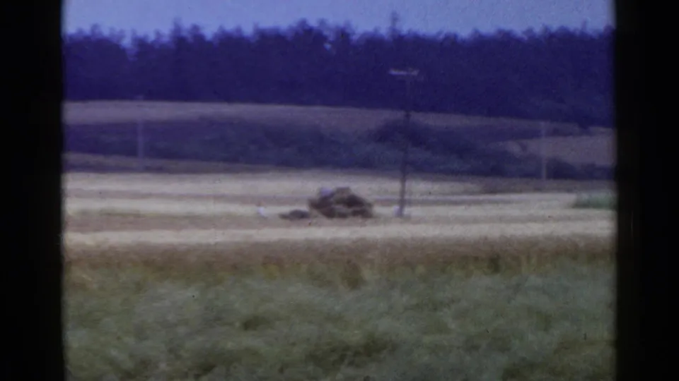 1953 Japan rural landscape with grassy foreground, pale harvested-looking field, utility pole, tree border, and a small indistinct roadside pile.