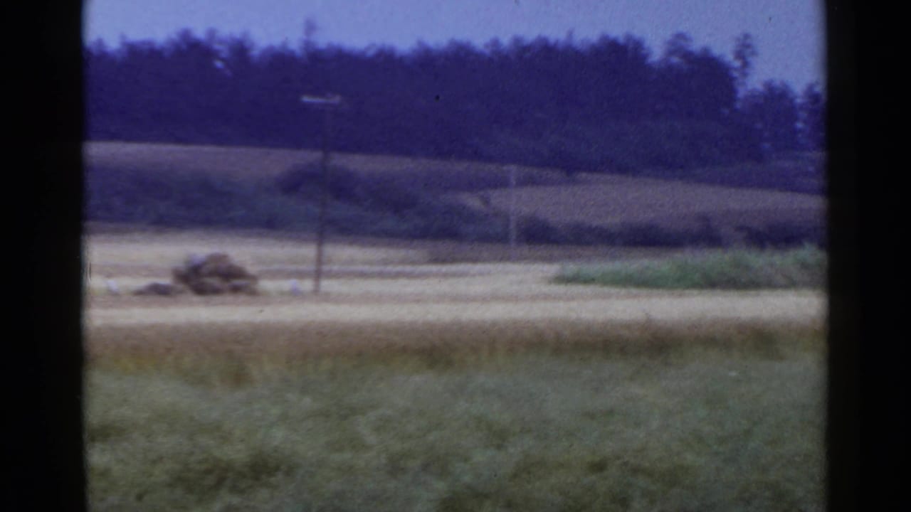 Grassy foreground, pale field, low hills, tree line, and a utility pole.