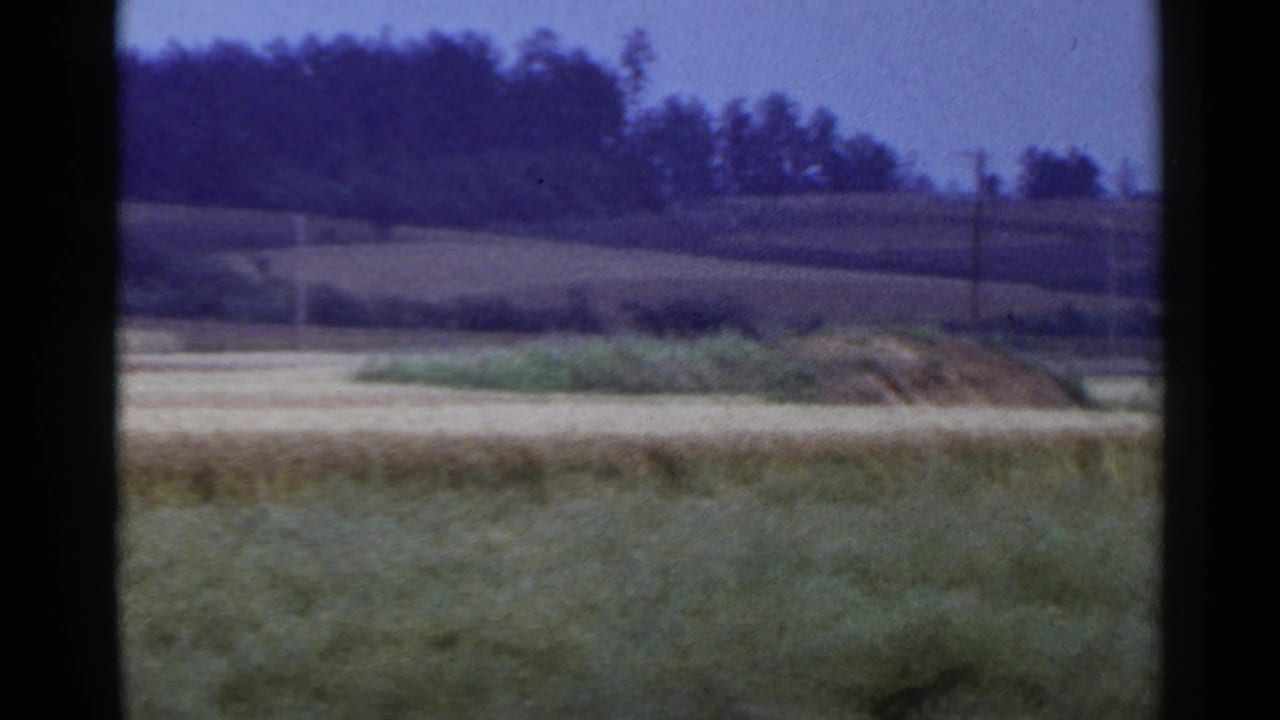 1953 Japan countryside view with green foreground grass, pale field bands, low hills, brush, and distant trees.