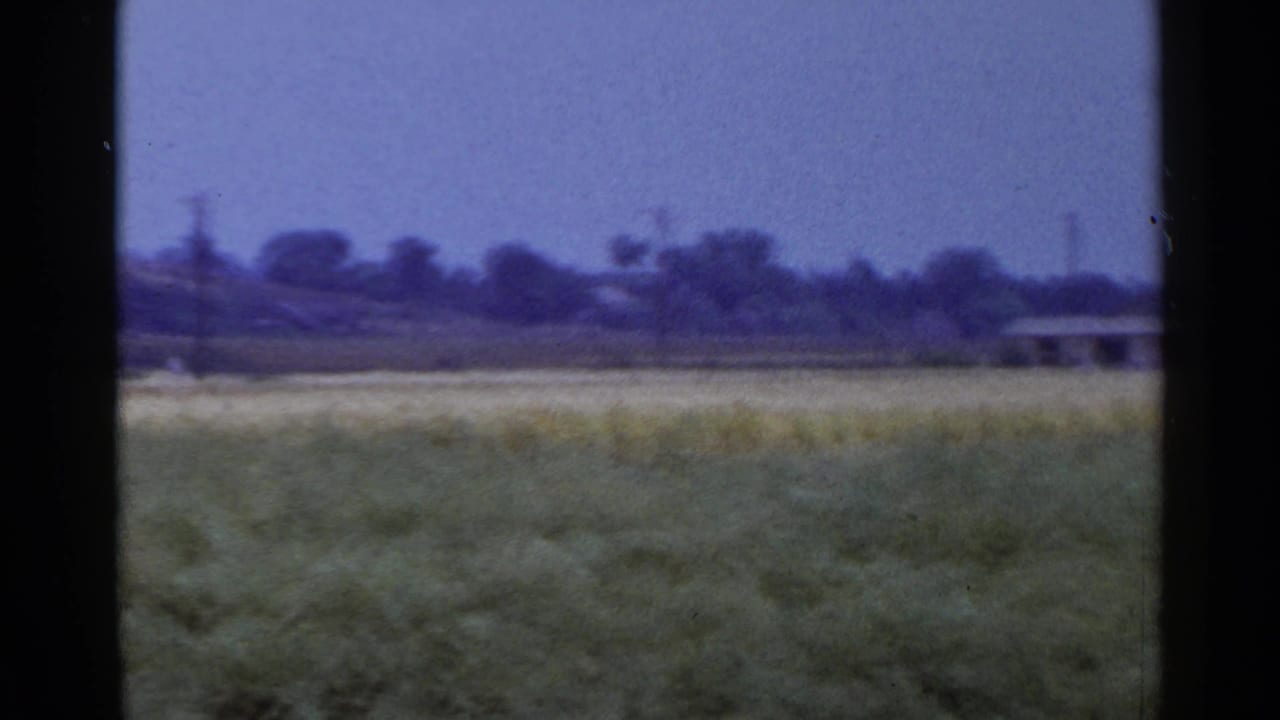 Rural 8mm frame showing field grasses, a small distant structure, utility poles, and a soft tree line under a pale sky.