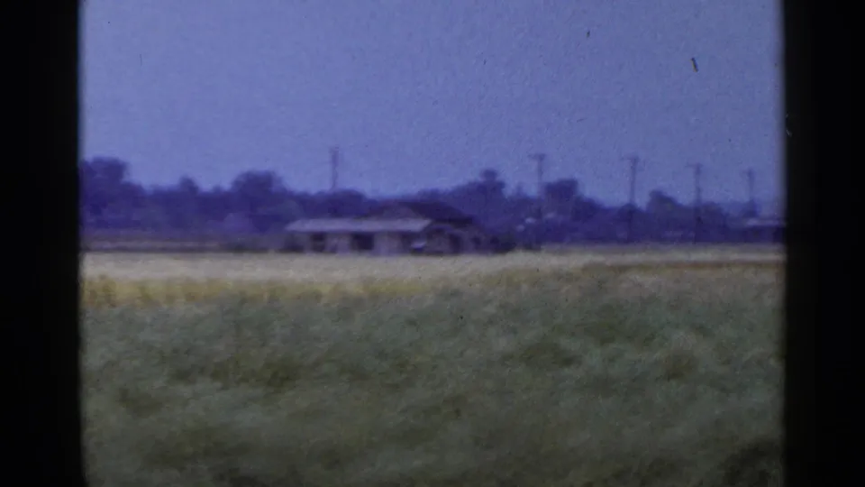 Soft 8mm view of grassy farmland with small distant buildings, utility poles, and a hazy horizon line.