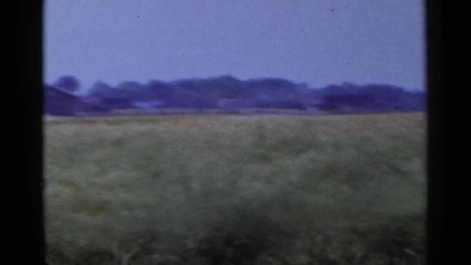 1953 Japan home-movie frame showing a broad cultivated field under pale sky with trees along the horizon.