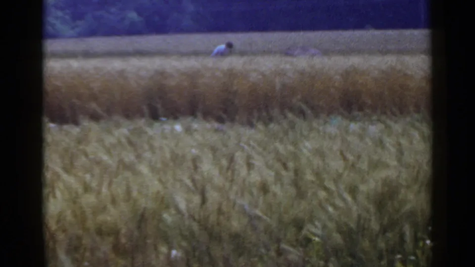 Color 8mm home-movie frame from Japan in 1953 showing a distant field worker in a white shirt amid tall crops.
