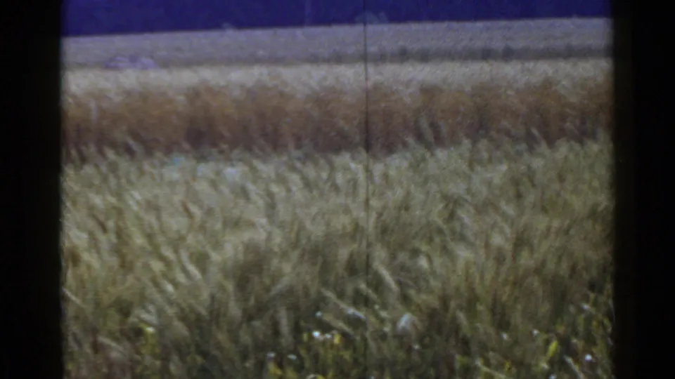 1953 Japan home-movie frame showing dense grain, distant field bands, blue sky, and pronounced 8mm scan texture.