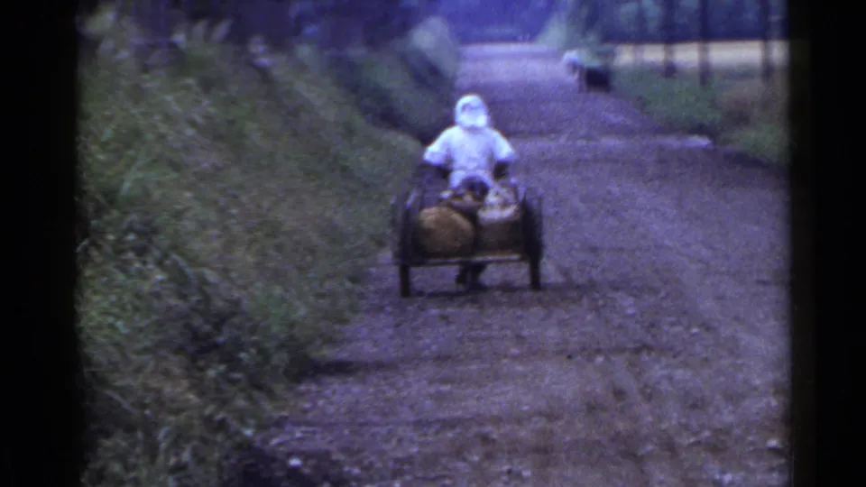 In 1953 Japan, a person in light clothing pulls a wooden handcart loaded with harvest bundles along a dirt road.