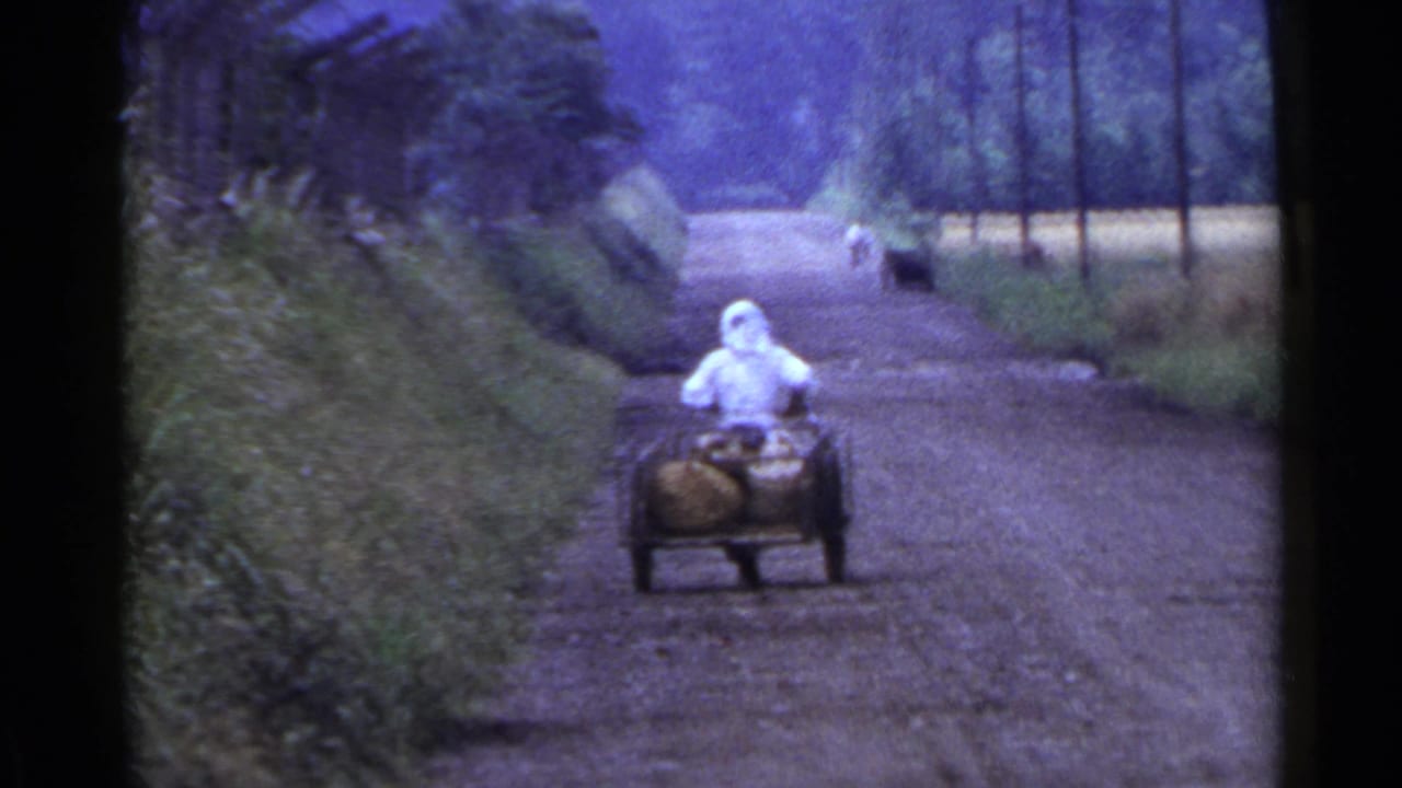Person in a white hooded outfit moves a loaded cart along a rural dirt road with a dog behind.