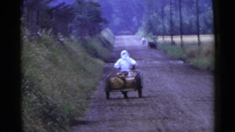 In 1953 Japan, a person in white guides a two-wheeled cart with sacks along a tree-lined dirt road while a dog follows.