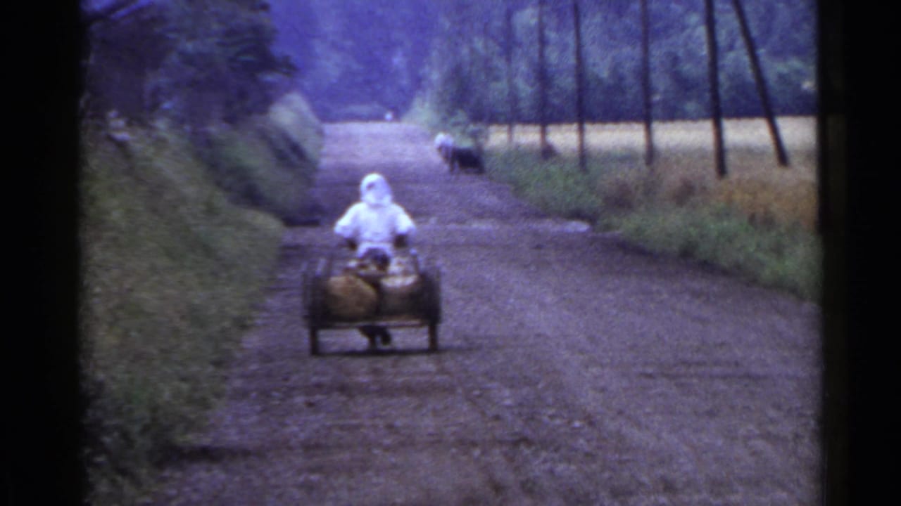 Loaded hand cart continues down a dirt road with trees and a dog visible in the distance.