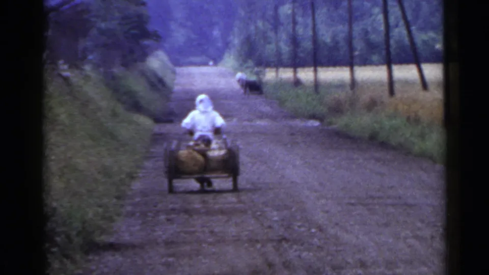 The cart moves farther along the rural road in Japan, with sacks on the cart, a dog behind, and trees lining the route.