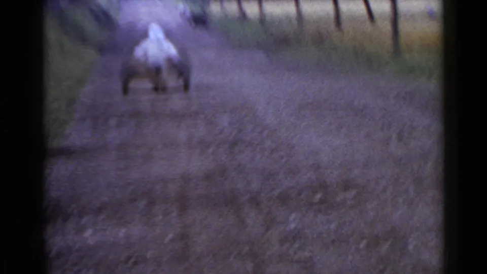 A soft, motion-blurred 8mm frame shows the cart and person receding along the road in rural Japan.