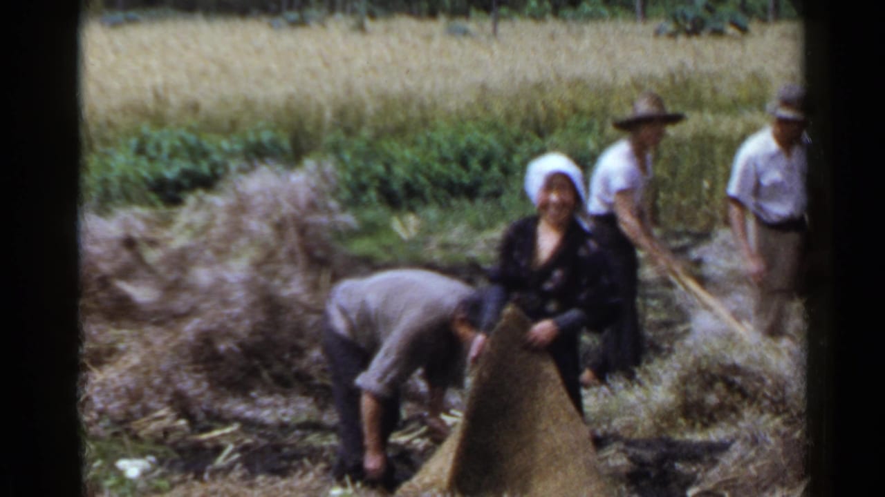 Villagers work in a field with straw bundles and hand tools.