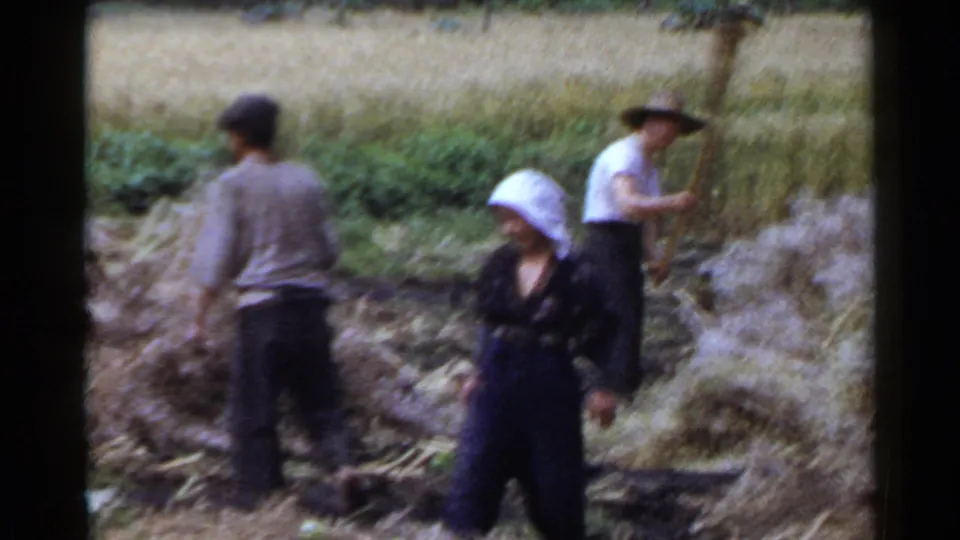 1953 Japan 8mm frame with a woman in a white headscarf standing near straw piles while another worker faces away in the field.