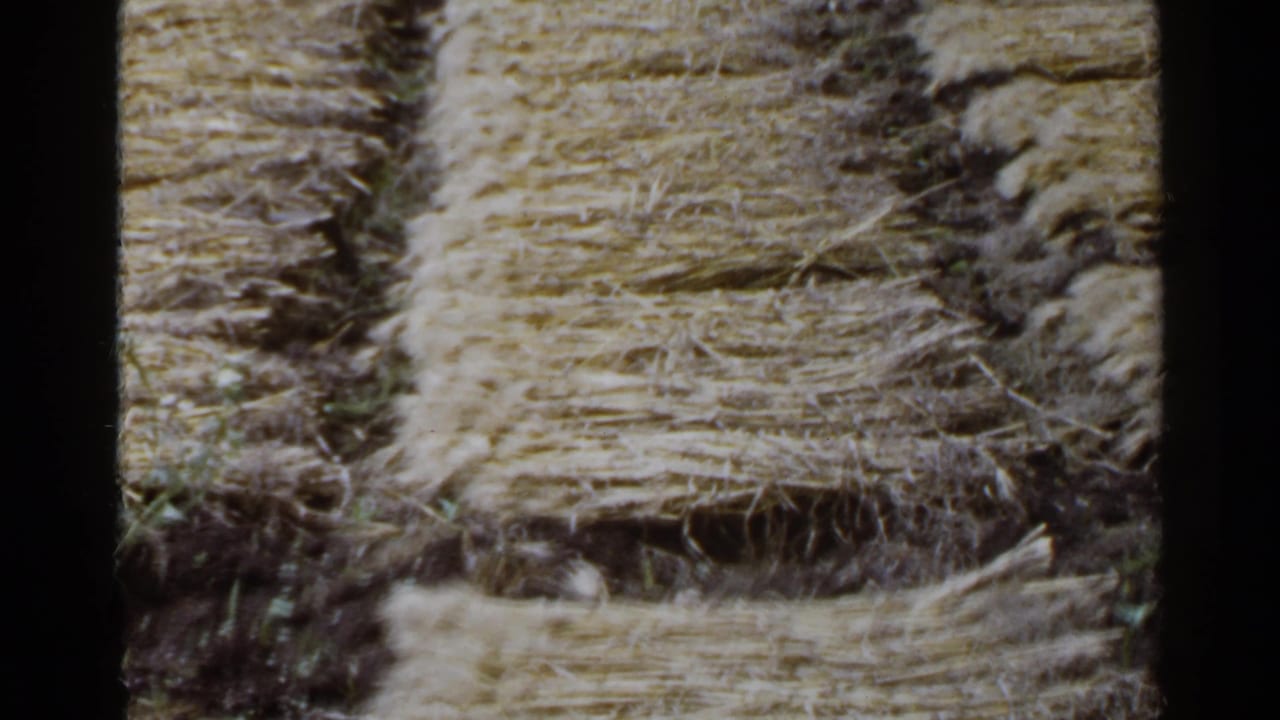 Close 8mm view of a Japanese rural field, with harvested straw or hay forming textured rows on dark soil.