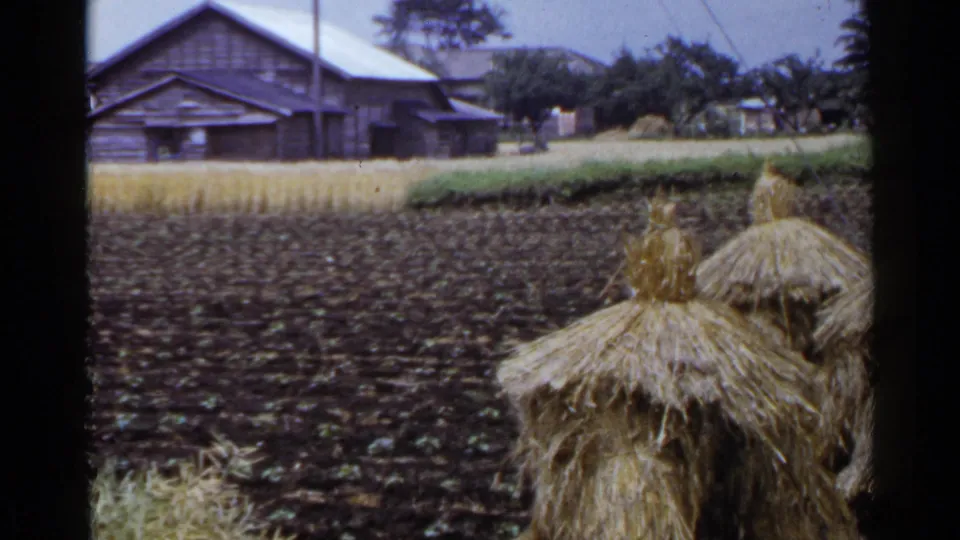 1953 Japan countryside frame showing straw stacks beside tilled soil with timber farm huts and thatched roofs beyond.