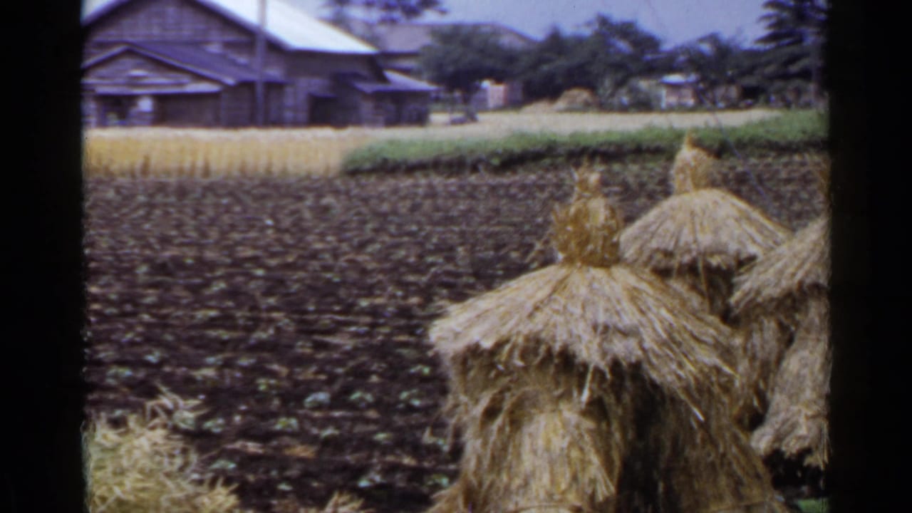 Straw haystacks stand beside a tilled field with wooden farm buildings beyond.