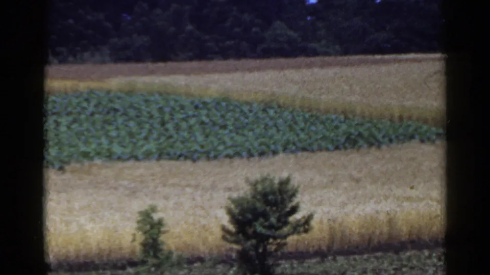 1953 rural Japan frame with terraced fields, green crops, golden grain, scattered trees, and visible film-frame borders.
