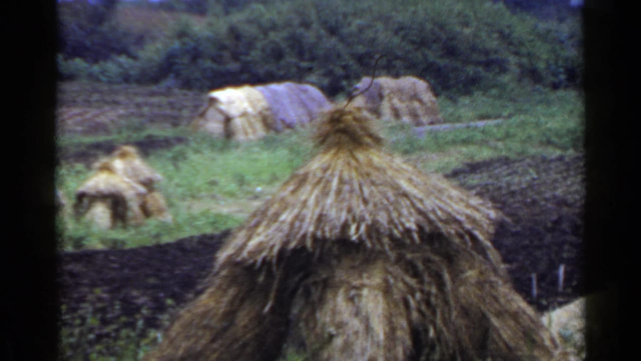 Vintage 8mm view in Japan with thatched roof forms in the foreground and background, straw stacks, greenery, and a cultivated field.