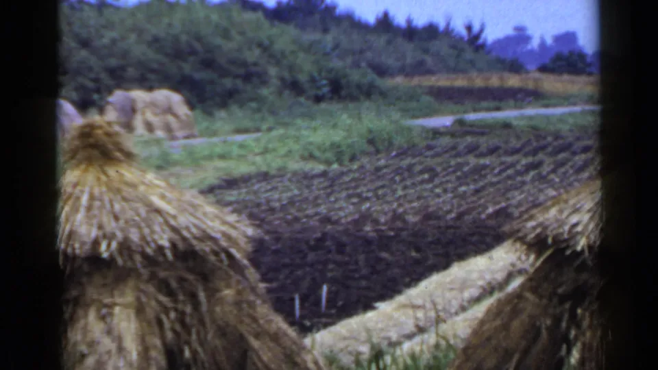 Soft 8mm frame from rural Japan showing cultivated soil, a narrow path, thatched roof edges, straw forms, and a green field boundary.