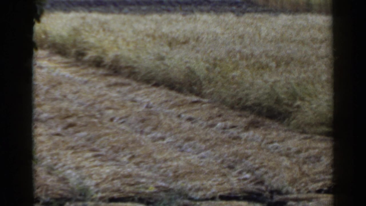 1953 Japan rural landscape with furrowed soil, standing grain, and a dark foreground divider from the filming position.