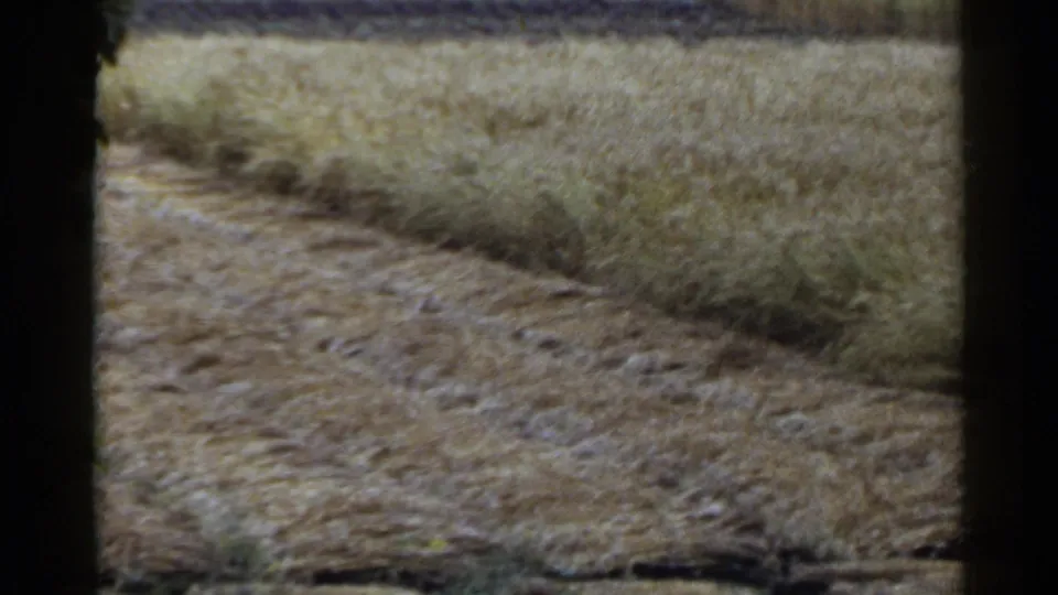 1953 Japan rural landscape with furrowed soil, standing grain, and a dark foreground divider from the filming position.