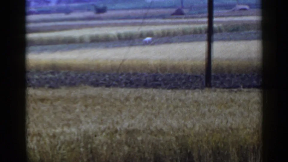 1953 Japan 8mm frame showing rural fields, a vertical utility pole, and a small distant white figure possibly working among the crops.
