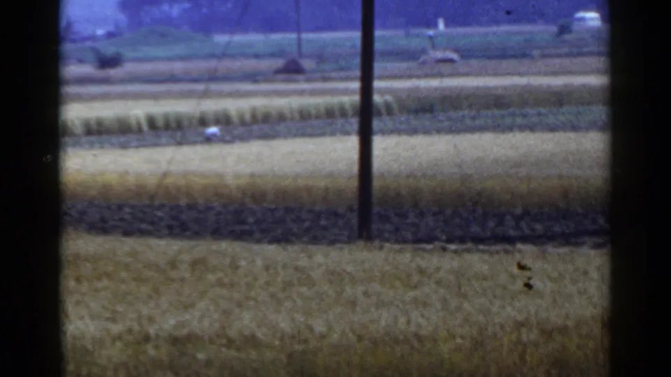 1953 Japan home-movie frame of broad crop fields and dark cultivated rows, with a pole in the foreground and a distant white figure visible.