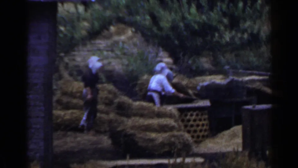 1953 Japan frame with two workers handling hay or straw on a terraced rural hillside near a small structure.