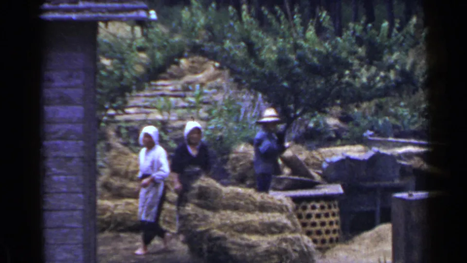 1953 Japan home-movie frame showing three workers in head coverings among hay or straw piles on a rural terrace.