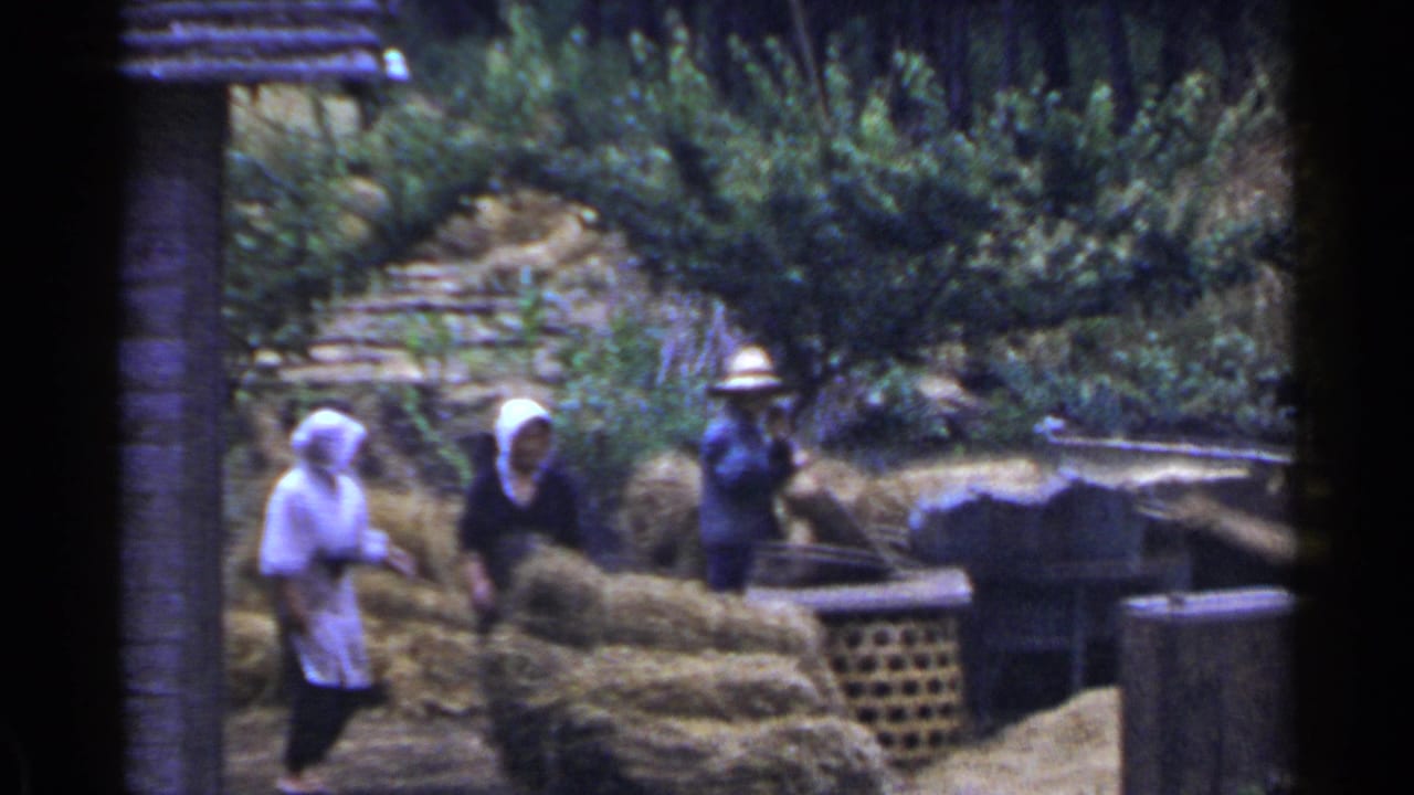 1953 Japan home-movie frame showing two women in white headscarves and a man in a straw hat working around hay at a rural farmstead.