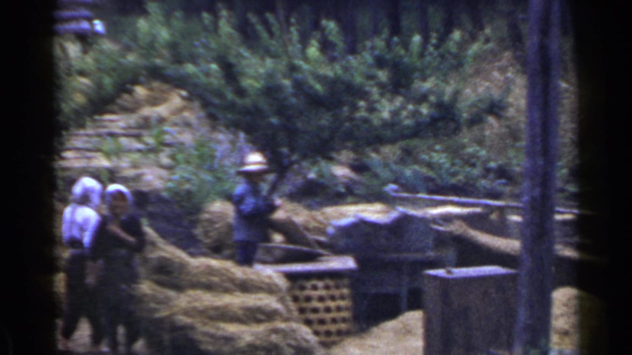 1953 Japan rural farm scene with headscarved women and a straw-hatted man moving or arranging hay near a woven basket.