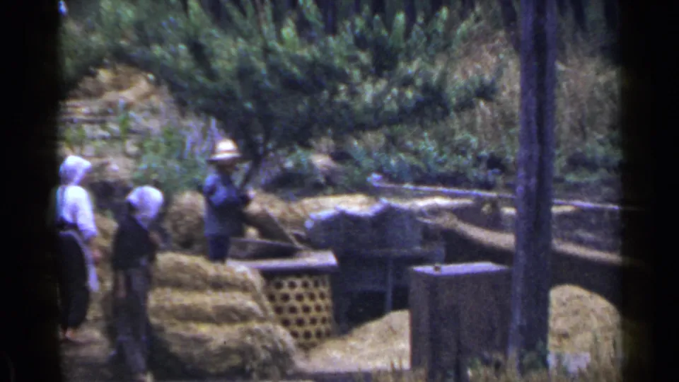 1953 Japan farmyard frame showing rural workers beside hay, with a tall wooden post, stonework, and greenery in the background.