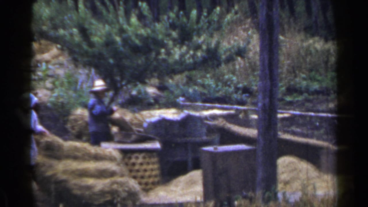 A worker in a straw hat stands near straw piles while another person is partly visible.
