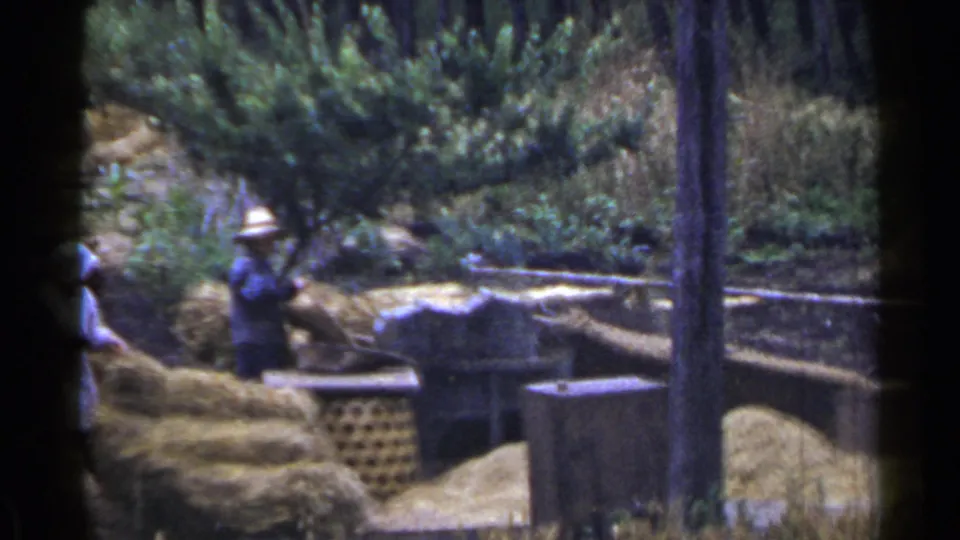 1953 Japan home-movie frame with a straw-hatted worker, another partly visible adult, straw piles, and garden vegetation.