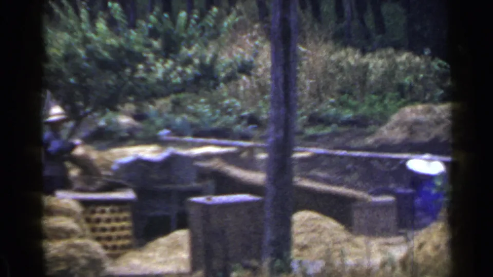1953 Japan home-movie frame showing an adult worker at the edge of straw piles, wooden rails, and green shrubs.