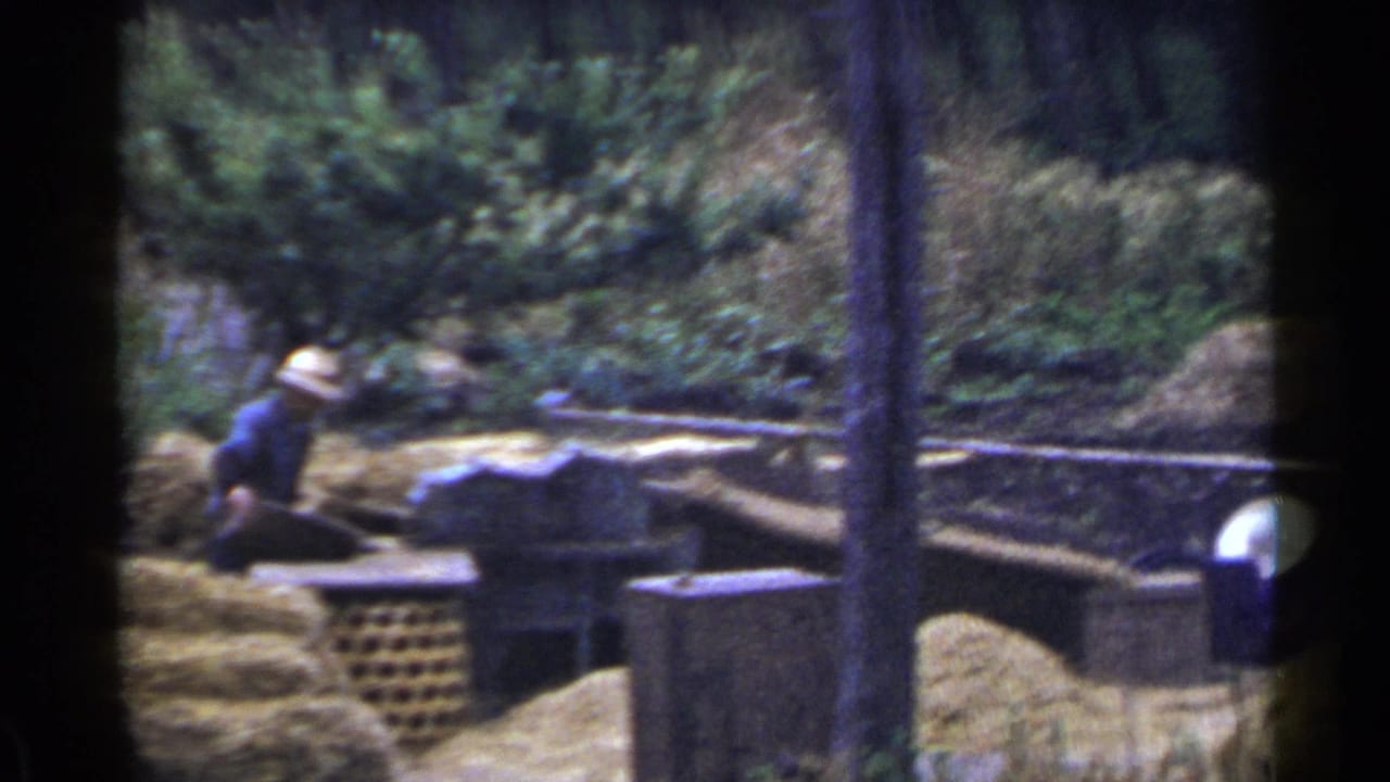 1953 Japan home-movie frame with a hatted worker beside hay or grain piles, wooden rails, and rough outdoor bins.
