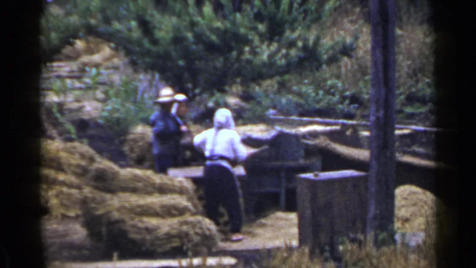 1953 Japan home-movie view of two adults beside hay or straw stacks and wooden structures in a green rural area.