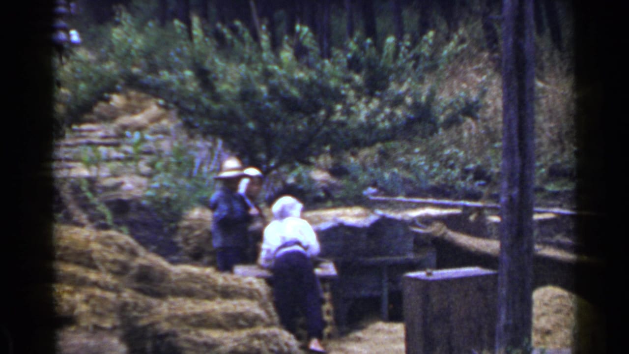 1953 Japan home-movie frame showing two people near hay stacks, trees, and a wooden rural structure.