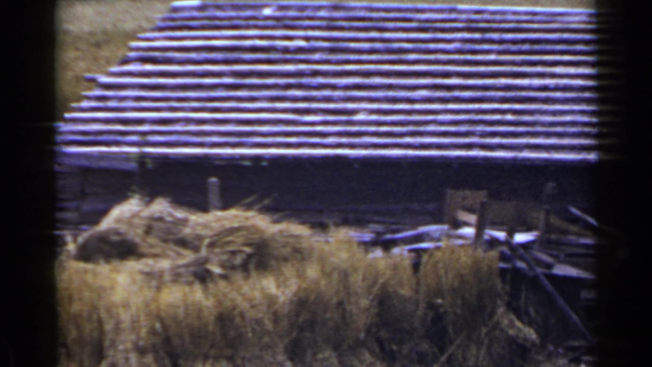 A wooden building with a ribbed roof stands behind hay stacks and farm materials.