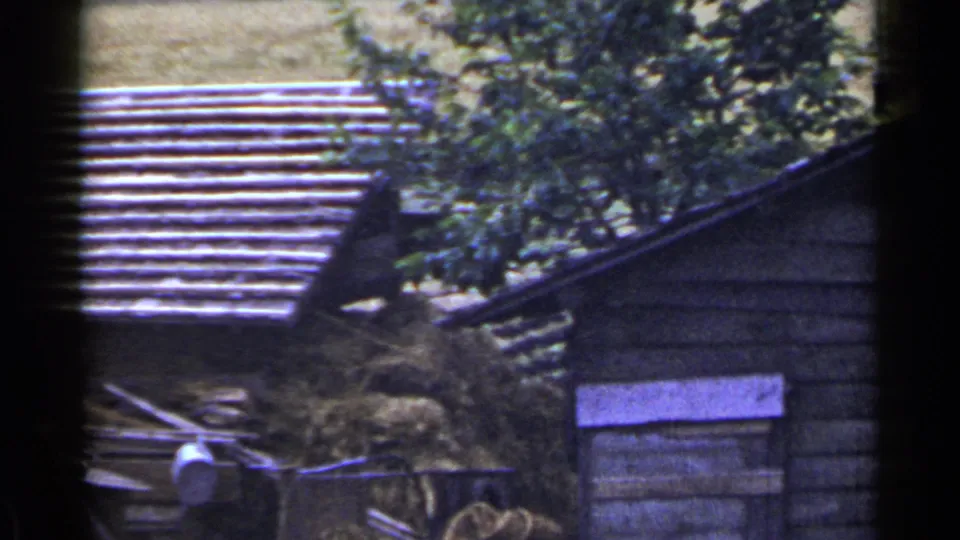 1953 Japan rural frame with hay stacks, adjoining wooden buildings, rooflines, and overhanging foliage.
