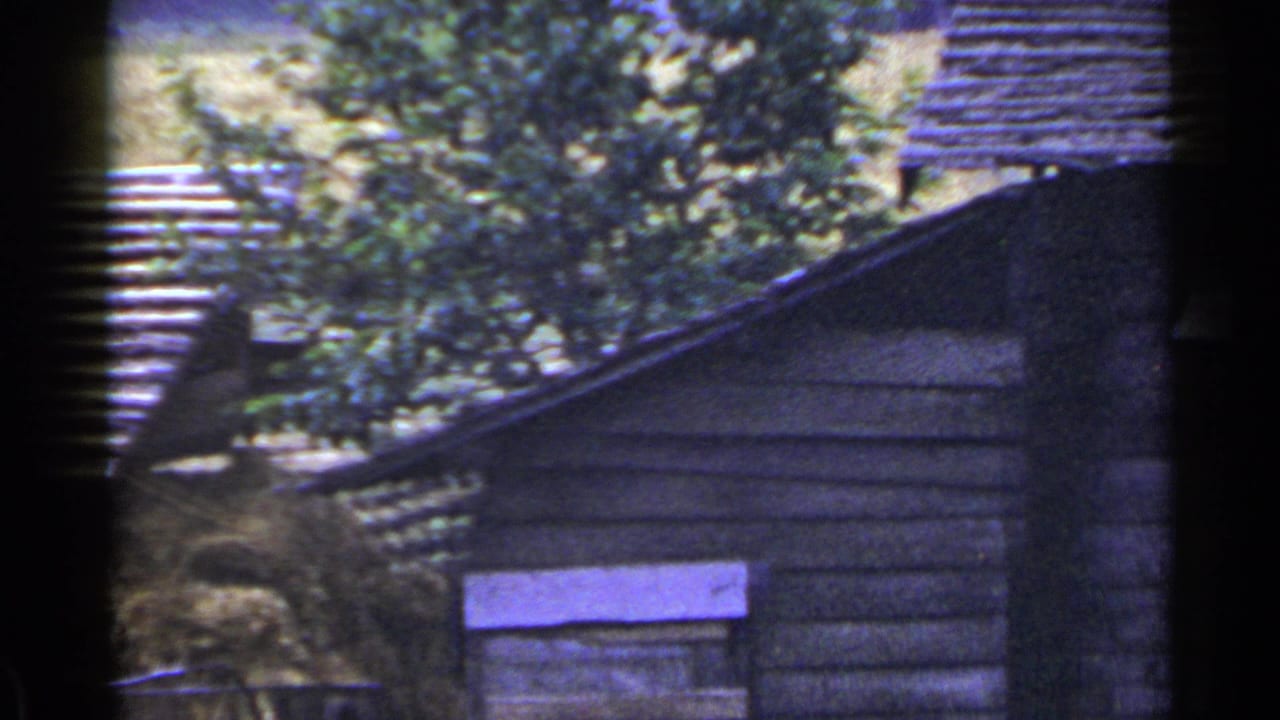 Weathered wooden building with a sloped roof, small window, trees, and dark film-edge shadows.