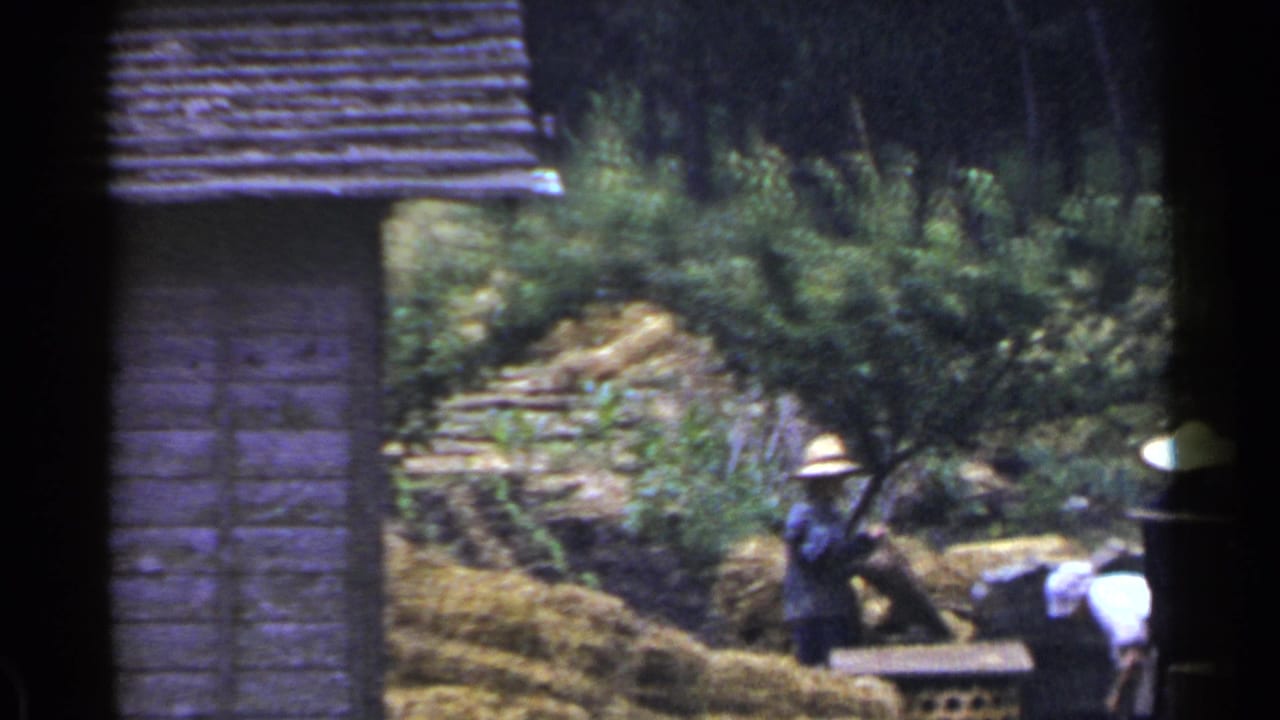 1953 Japan rural scene with workers in wide-brimmed hats near straw bundles, greenery, and a wooden building edge.