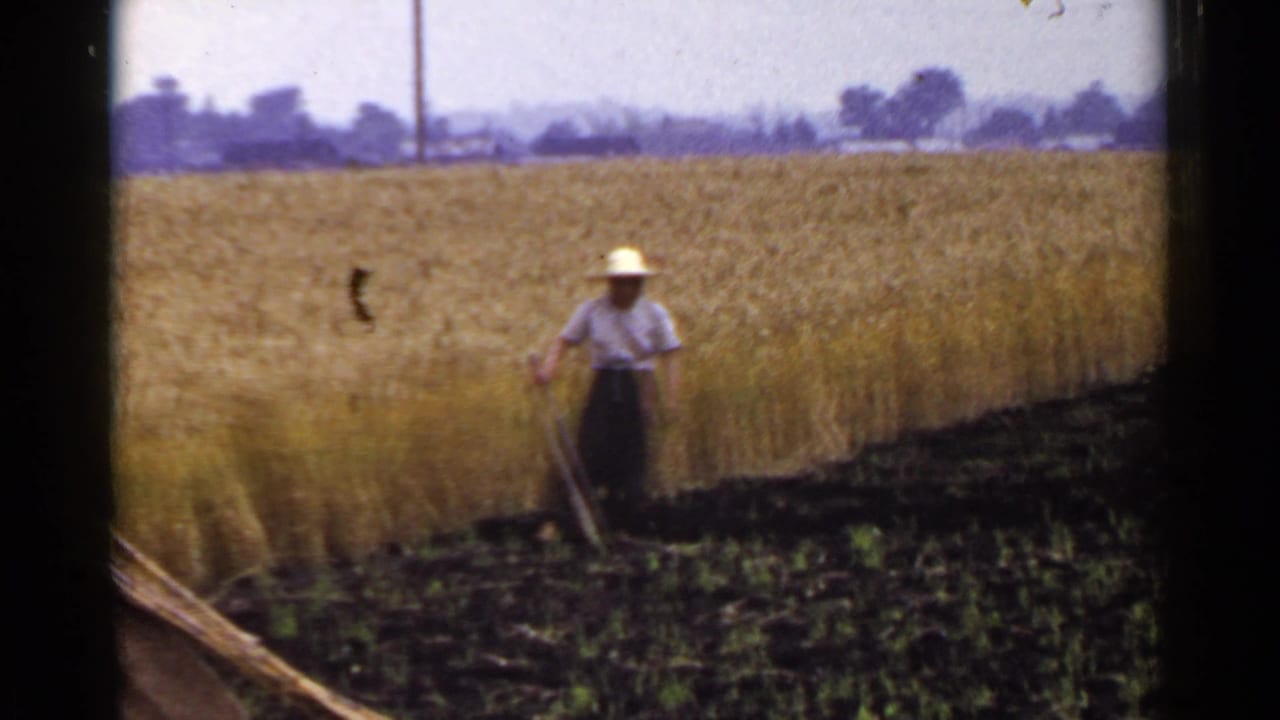 Farmer in a straw hat stands with a hoe beside a golden field.