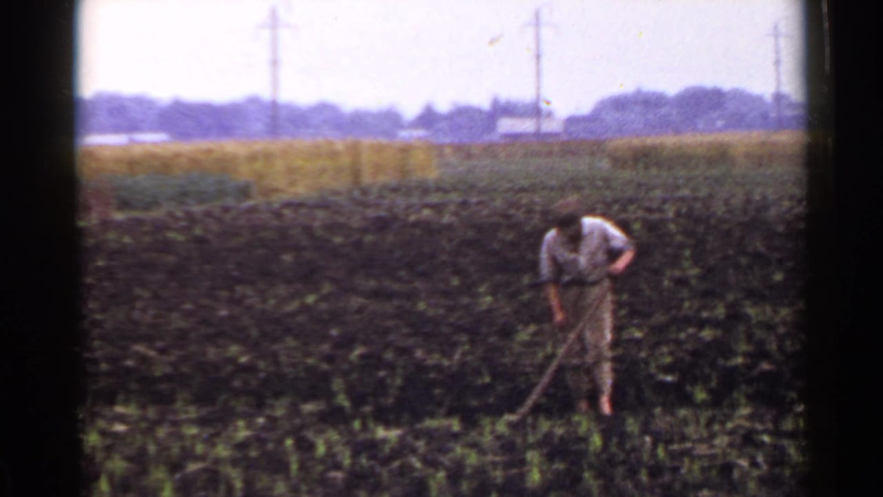 Farmer bends over with a hoe in a dark field with young shoots and distant poles.