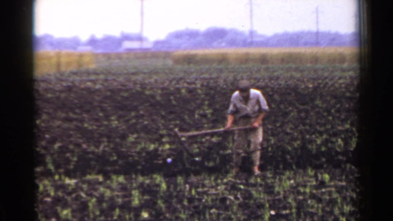 Farmer uses a hoe across a dark field with crops and a pale sky behind.